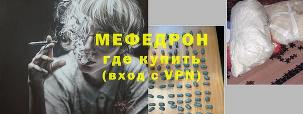 индика Надым