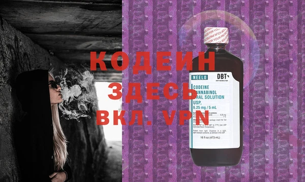 индика Надым