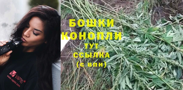 индика Надым