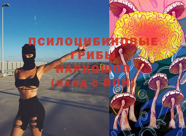 твердый Шарыпово