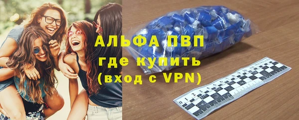 индика Надым