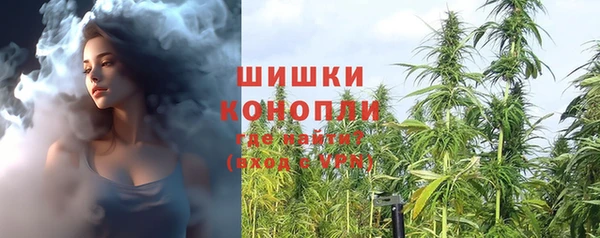 индика Надым