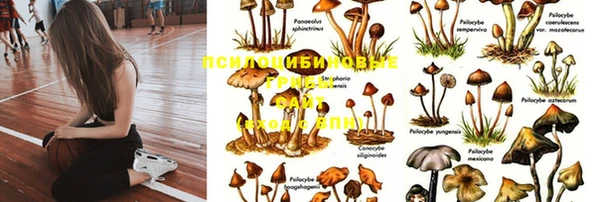 соль ск Нея