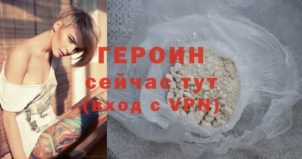 индика Надым