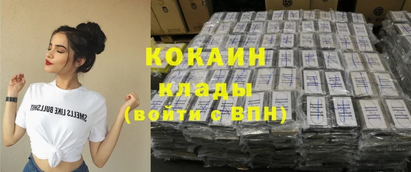 индика Надым