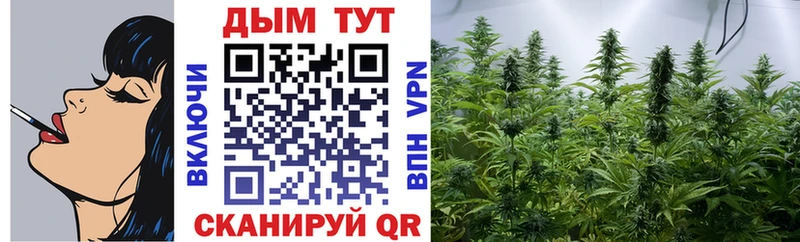 Канабис MAZAR  где купить наркотик  Отрадное 